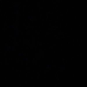 Meet your Posher, Jerry